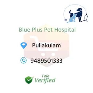 Blue Pet Clinic Veterinary Doctors Puliakulam 9489501333