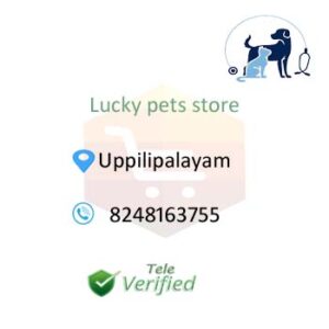 Lucky Pet Clinic Veterinary Doctors Uppilipalayam 8248163755