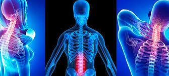 Child Specialist Surgeons Gynecologists