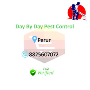 Day By Day Pest Control Services 