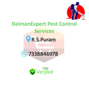 DelmanExpert Pest Control Services