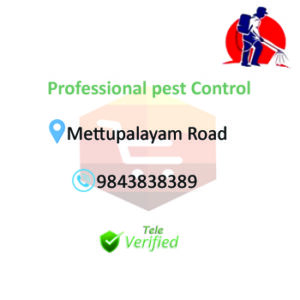 Professional Pest Control Services